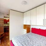 Rent 1 bedroom house of 45 m² in Milan