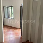 Rent 3 bedroom apartment of 80 m² in Joppolo