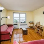 Rent 1 bedroom apartment in NY