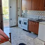 Rent 1 bedroom apartment of 20 m² in Montoro