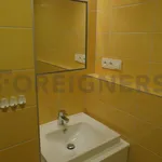 Rent 1 bedroom apartment of 62 m² in Brno