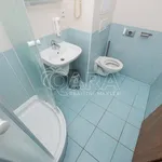 Rent 1 bedroom apartment in Prague