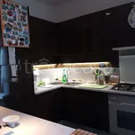 Rent 2 bedroom apartment of 88 m² in Torino