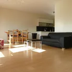 Rent 1 bedroom apartment of 75 m² in Rotterdam