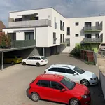 Rent 2 bedroom apartment of 60 m² in Brno