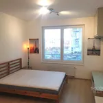 Rent 1 bedroom apartment in Praha 9