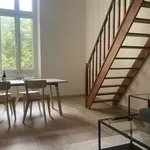 Rent 1 bedroom apartment of 50 m² in Lyon