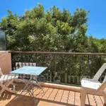 Rent 1 bedroom apartment of 25 m² in Ollioules