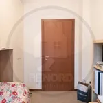 Rent 3 bedroom apartment of 65 m² in Pavia