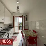 Rent 3 bedroom apartment of 95 m² in Milano