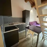 Rent 2 bedroom apartment of 45 m² in Mantova