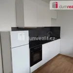 Rent 2 bedroom apartment in Capital City of Prague