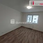 Rent 1 bedroom apartment in Plzeň