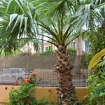 Terraced house in Cas Catalá