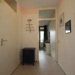 Rent 3 bedroom apartment of 80 m² in Helpman