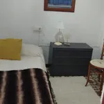 Rent 3 bedroom apartment in Valencia