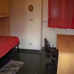 Rent a room in Genova