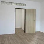 Rent 2 bedroom apartment in Litoměřice