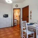 Rent 3 bedroom apartment of 50 m² in Follonica