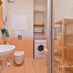 Pronajměte si 2 ložnic/e byt o rozloze 47 m² v Brno