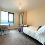 Rent 3 bedroom student apartment in sheffield