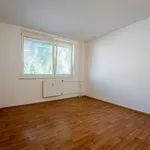 Rent 1 bedroom apartment of 20 m² in Brno