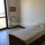 Rent 3 bedroom apartment of 80 m² in Chieti