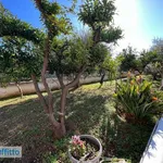 Rent 2 bedroom house of 80 m² in Bari