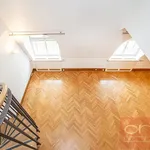 Rent 4 bedroom apartment of 164 m² in Prague