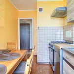 Rent 3 bedroom apartment of 48 m² in Toruń