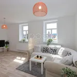 Rent 1 bedroom apartment in Humpolec