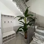 Rent 3 bedroom apartment of 115 m² in Viareggio