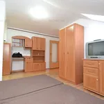 Rent 1 bedroom apartment of 26 m² in Timisoara