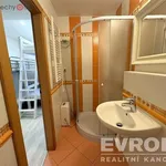 Rent 2 bedroom apartment of 48 m² in Plzeň 4