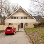 Rent 3 bedroom apartment of 65 m² in Ostrava