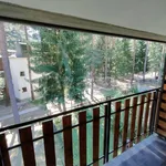 Rent 1 bedroom apartment of 38 m² in Bardonecchia