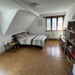 Rent 2 bedroom apartment of 70 m² in Roeschwoog