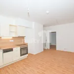 Rent 2 bedroom apartment in Liberec