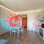 Rent 2 bedroom apartment of 70 m² in pisa