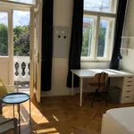 Rent 5 bedroom apartment in Prague