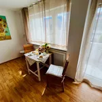 Rent 1 bedroom apartment of 35 m² in Heidelberg