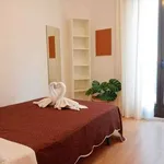 Rent a room in madrid