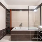 Rent 3 bedroom apartment of 109 m² in Prague