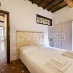 Rent 3 bedroom apartment of 60 m² in Firenze