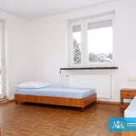 Rent 7 bedroom house of 250 m² in Rzeszów