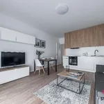 Rent 2 bedroom apartment in Prague