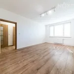 Rent 1 bedroom apartment in Karviná