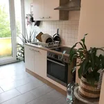 Rent 3 bedroom apartment of 75 m² in Würzburg