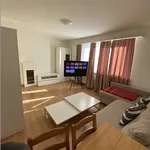 Rent 2 bedroom apartment of 560 m² in Basel