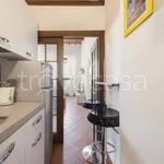 Rent 2 bedroom apartment of 50 m² in Firenze